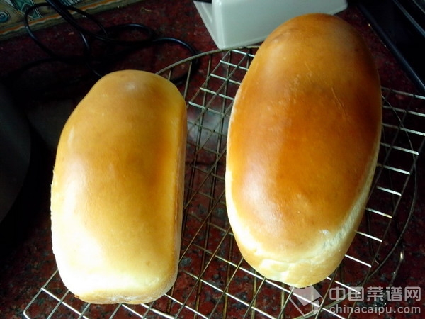 ȫ������С��˾