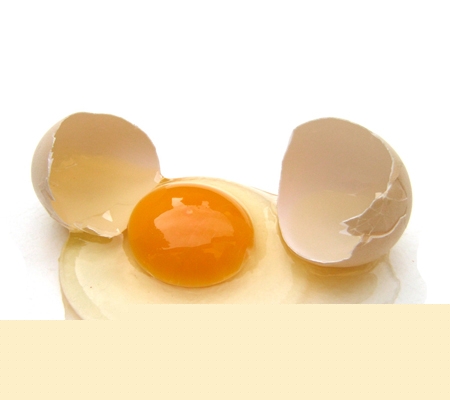 ��Щʳ����������Ǻô��