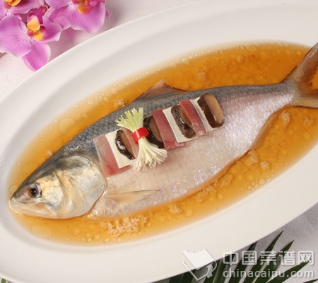 �Ÿ���������