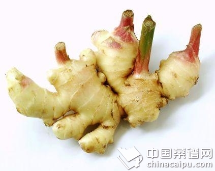 ����10��Ч���ȼ�ͥҽ��