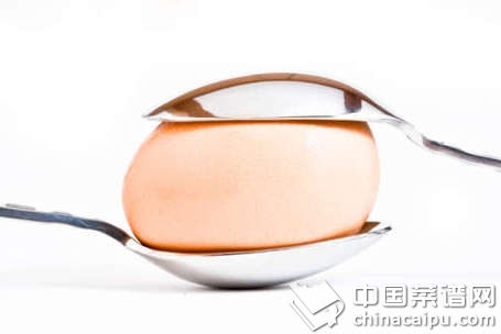 ������֪��������������Щʳ��ͬʳ