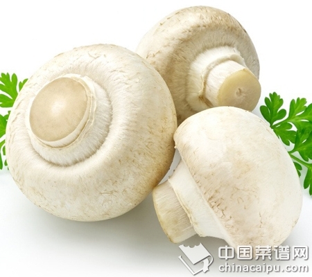 ��֪��Ģ�����ϵȼ�����