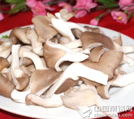 ��Ģ����Ҫע�������