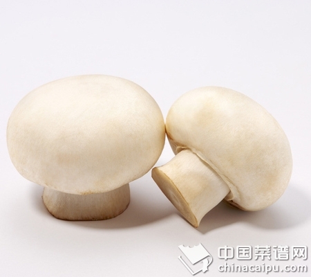 ��Ģ����Ҫע�������