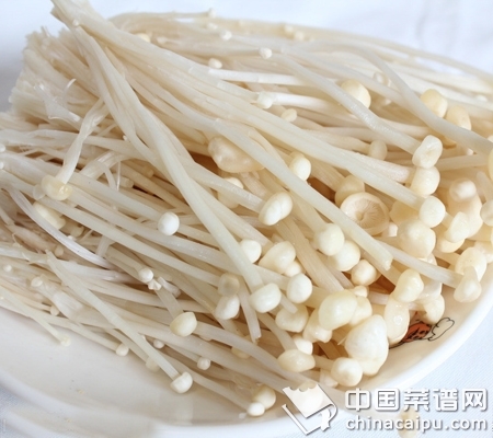 ��Ģ����Ҫע�������