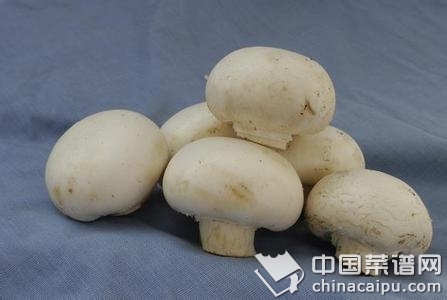 ��Ģ����Ҫע�������