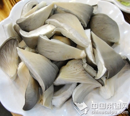 ��Ģ����Ҫע�������