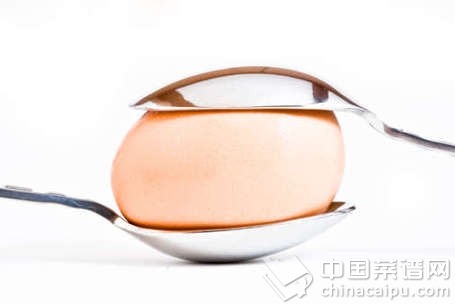 ������֪��������������Щʳ��ͬʳ