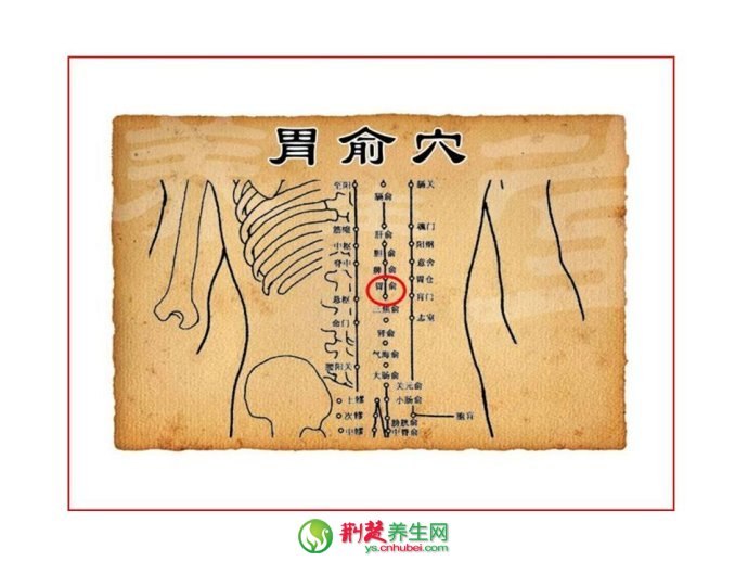 中医拔罐养生 九大常用穴位