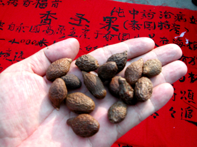 �ִ�θ�������� �ִ󺣵�ʹ�ý���