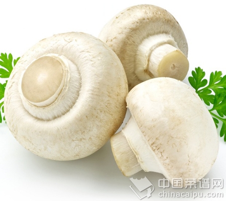 �̵�����ϵ�Ӫ��ȫ����