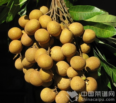 ��Բ��Ӫ����ֵ����Ч