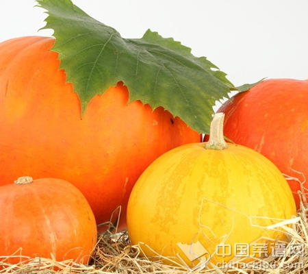 �̵�����ϵ�Ӫ��ȫ����