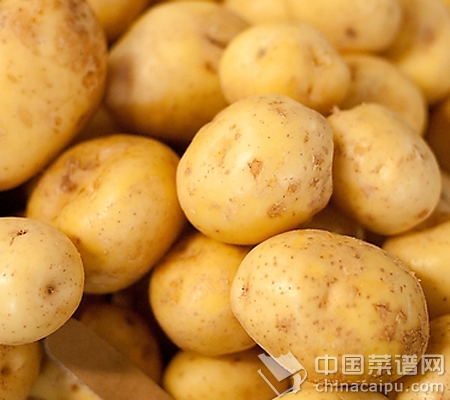 ��4����ס�߹�Ӫ��