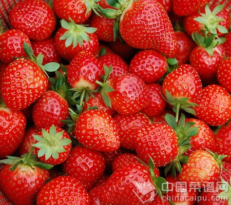 ��4����ס�߹�Ӫ��