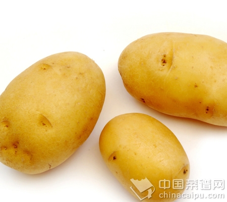 ��4����ס�߹�Ӫ��