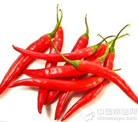 ��4����ס�߹�Ӫ��