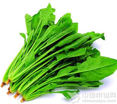 �＾�̲����߹�