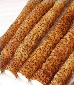 ������������Ч����֬���ε�18����ʳ�Ʒ�