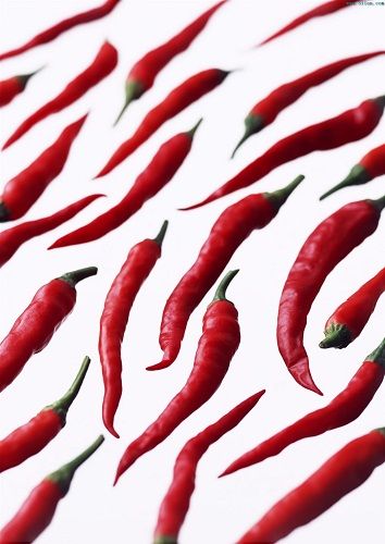 ������������Ч����֬���ε�18����ʳ�Ʒ�