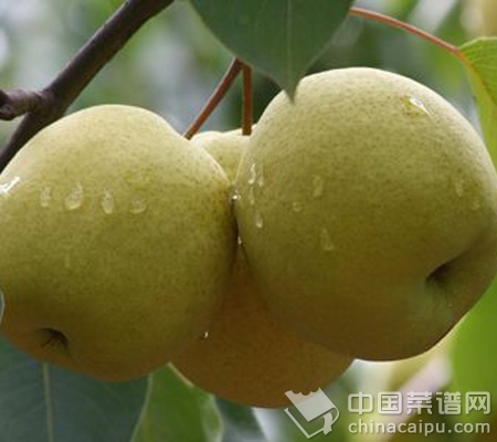 �����������ܹ���ʳ��