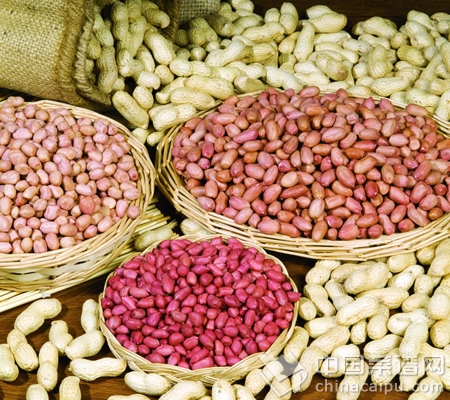 �ܹ��Ŷ���ʳ��