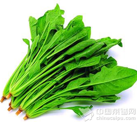 �ܹ��Ŷ���ʳ��