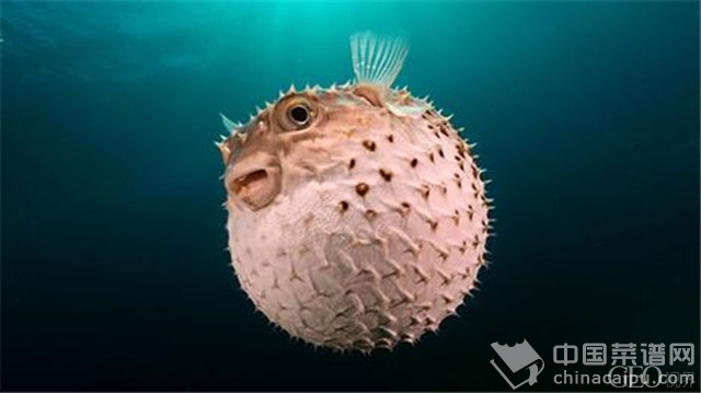 ����Ҳ����ƺ��ҩ����