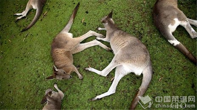 ����Ҳ����ƺ��ҩ����