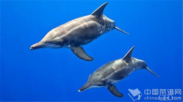 ����Ҳ����ƺ��ҩ����