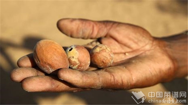 ����Ҳ����ƺ��ҩ����