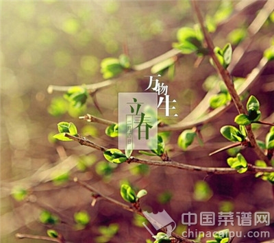 �������������� �������γ�ʲô��