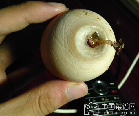 �����⼦��̫����99%����û����