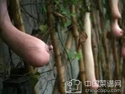 Խ����Ͼ������� ��֪ʶ��