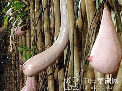 Խ����Ͼ������� ��֪ʶ��