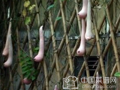 Խ����Ͼ������� ��֪ʶ��