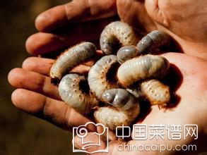 ����ǧ��ٹֵ�ʳ���Թ�������