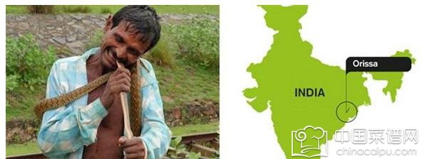 ȫ��ֲ�ʳ�����а���£�ȫ��5�����������