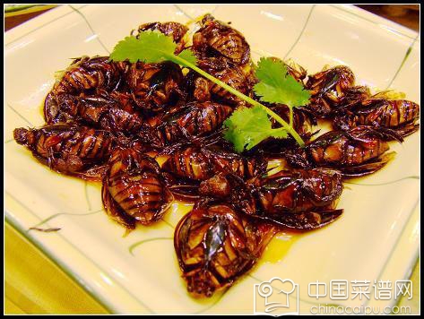 ȫ��ֲ�ʳ�����а���£�ȫ��5��ʳ�����������