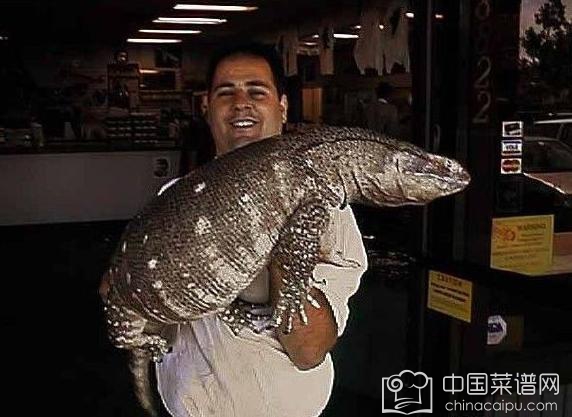 ȫ��ֲ�ʳ�����а���£�ȫ��5��ʳ�����������