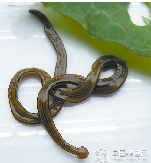 ǧ������ȫ������ĵ�ʳ�ﶼ���⣡