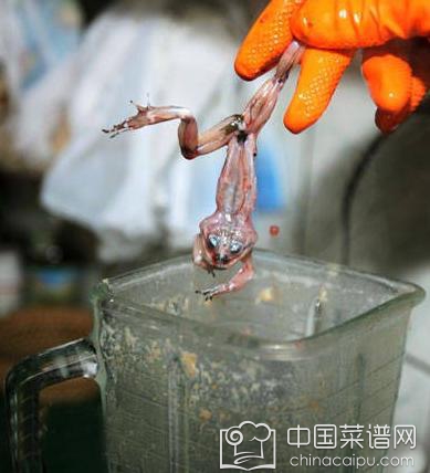 ǧ������ȫ������ĵ�ʳ�ﶼ���⣡