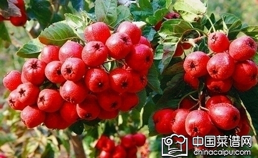 ɽ髶�����ðʹ��������