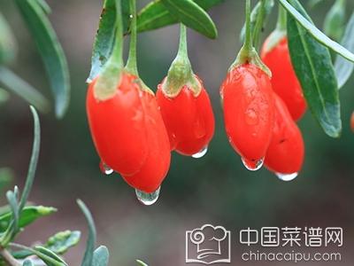 ���ٵ��ؾ� ����ÿ���һ�����ɻ99