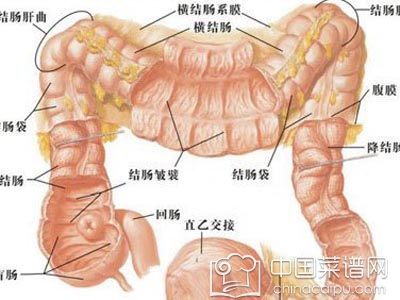 ���粻ͨ��֢״ һ�������Ϊ����ҽ