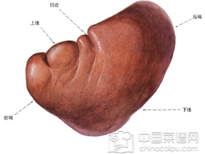 ���粻ͨ��֢״ һ�������Ϊ����ҽ