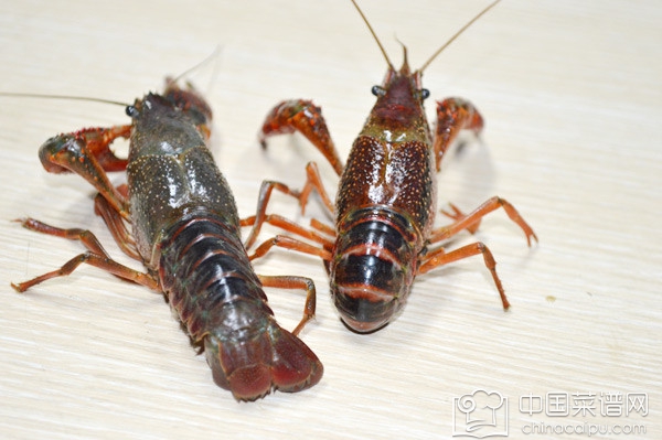 С��Ϻ�Ĵ������� С��Ϻ����ѡ����ϴ�����㶼֪����