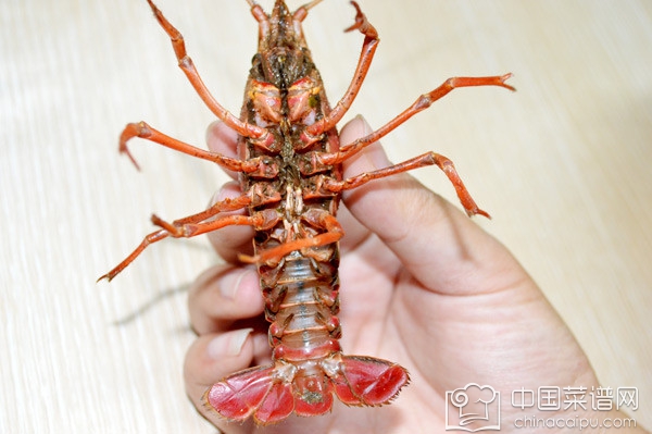 С��Ϻ�Ĵ������� С��Ϻ����ѡ����ϴ�����㶼֪����