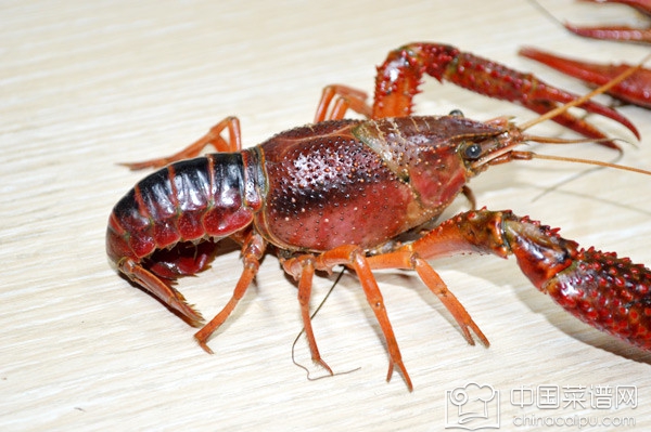 С��Ϻ�Ĵ������� С��Ϻ����ѡ����ϴ�����㶼֪����