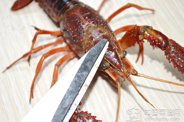 С��Ϻ�Ĵ������� С��Ϻ����ѡ����ϴ�����㶼֪����